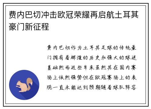 费内巴切冲击欧冠荣耀再启航土耳其豪门新征程