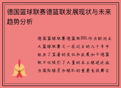 德国篮球联赛德篮联发展现状与未来趋势分析